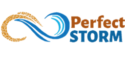 PerfectSTORM Logo